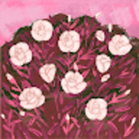 Meet your Posher, Deanna - Picture 1 of 1